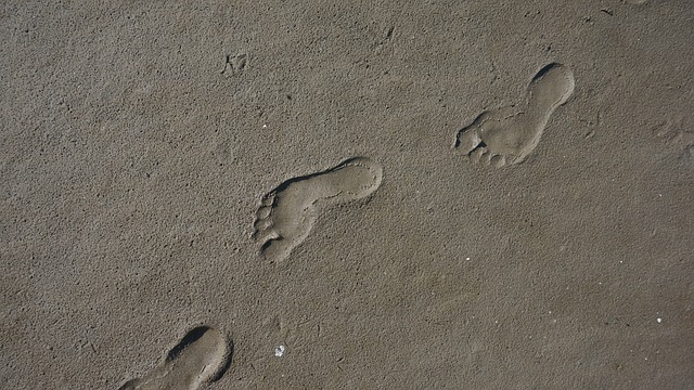 Dinosaur footprints Oxfordshire : Dinosaur Footprints: 166 Million-Year-Old Oxfordshire Discovery : Nearly 200 dinosaur footprints dating back 166 million years discovered in Oxfordshire.  Explore the dinosaur highway and learn about the fascinating insights into dinosaur life revealed by this incredible find.